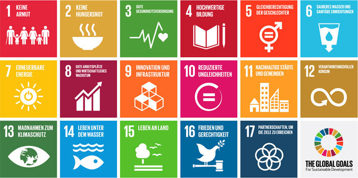 SDG Sustainable Development Goals Grafik